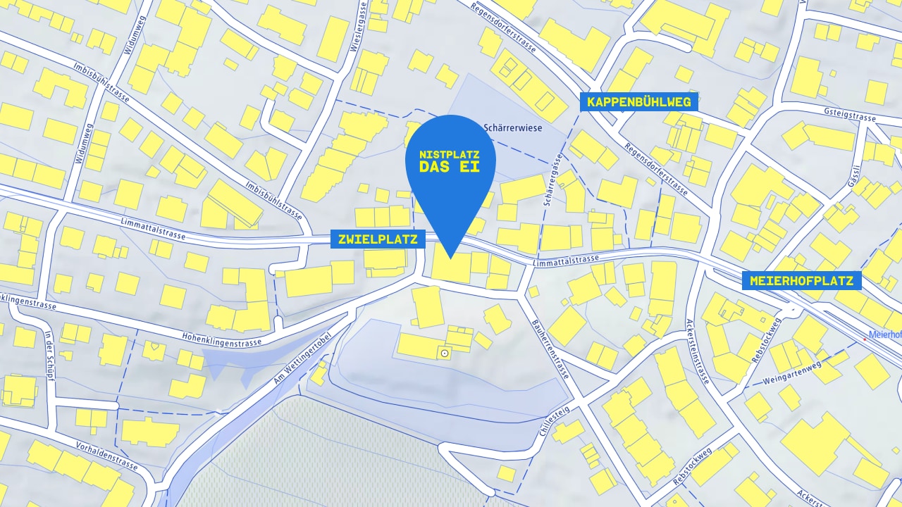 Karte zu Limmattalstrasse 215